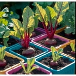 Image 7 of customer photos