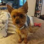 Image 2 of customer photos