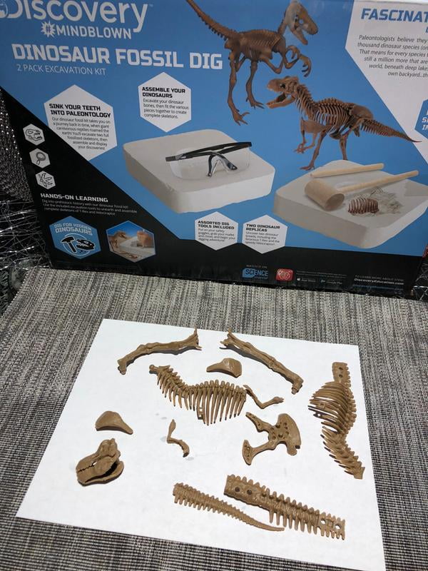 Velociraptor Interactive Dinosaur Fossil Excavation Dig Kit Discovery Mindblown 