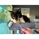 Image 4 of customer photos