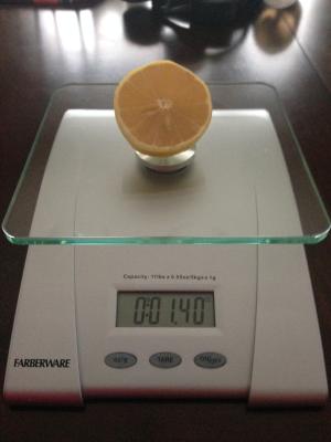 Farberware Professional Electronic Glass Kitchen and Food Scale, 11-Pound,  SILVER - 5083276