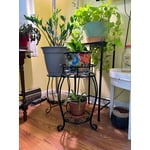 Image 3 of customer photos