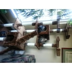 Image 7 of customer photos