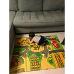 Image 3 of customer photos