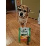 Image 2 of customer photos