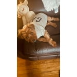 Image 4 of customer photos