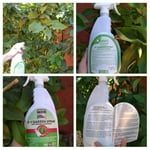 Image 5 of customer photos