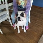 Image 6 of customer photos