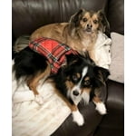 Image 6 of customer photos