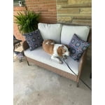 Image 3 of customer photos