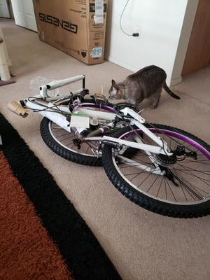 26 ladies whirlwind bike