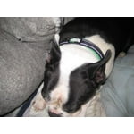 Image 3 of customer photos