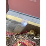 Image 7 of customer photos