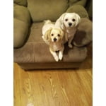 Image 1 of customer photos