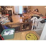 Image 1 of customer photos