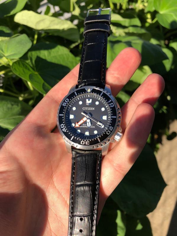 citizen bn 0150,Quality assurance,protein-burger.com