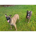 Image 1 of customer photos