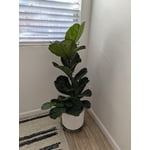 Image 1 of customer photos