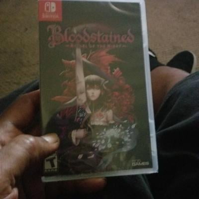 Horror Game Bloodstained: Ritual of the Night by 505 Games for