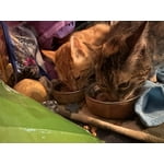 Image 5 of customer photos