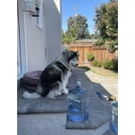 Image 5 of customer photos