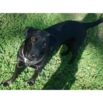 Image 4 of customer photos