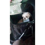 Image 2 of customer photos