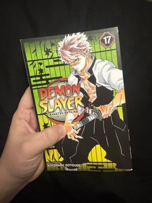 Koyoharu Gotouge, Demon Slayer Kimetsu No Yaiba, Vol. 17