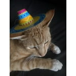 Sombrero Paper Party Hats, Multicolor 4 Count by Way to Celebrate