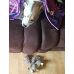 Image 5 of customer photos