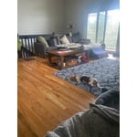 Image 4 of customer photos