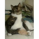 Image 3 of customer photos