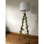 Image 7 of customer photos