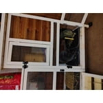 Image 6 of customer photos