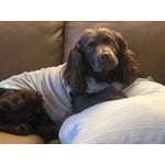 Image 6 of customer photos