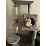 Image 5 of customer photos