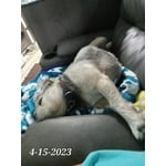 Image 4 of customer photos