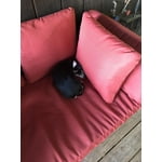 Image 6 of customer photos