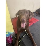 Image 6 of customer photos