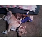 Image 2 of customer photos