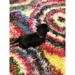 Image 6 of customer photos