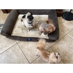 Image 1 of customer photos