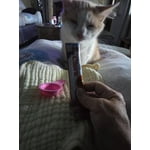 Image 6 of customer photos