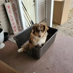 Image 4 of customer photos