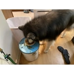 Image 2 of customer photos