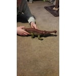 Image 7 of customer photos