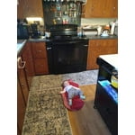 Image 5 of customer photos