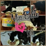 Image 7 of customer photos