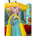 Image 4 of customer photos