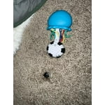 Image 5 of customer photos